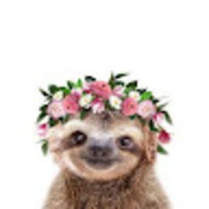 Meet your Posher, Frankie